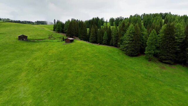 Aerial view of Alpe di Siusi with Sassolungo, Dolomites, Italy
