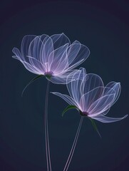 Minimalist Abstract Peonies Illustration on Dark Purple Background