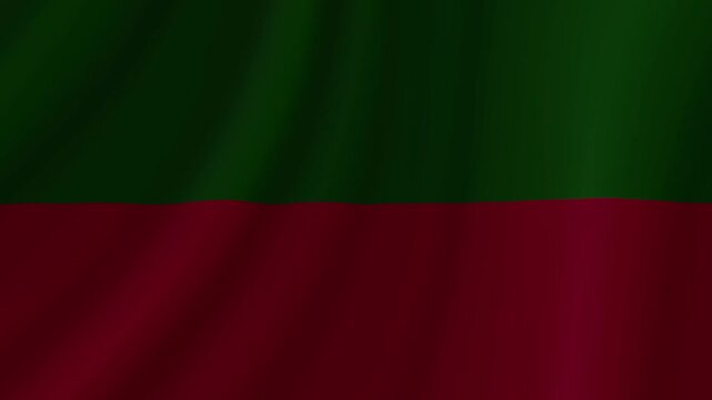 Zapotec Waving Flag. Realistic Flag Animation. Seamless Loop Background.	
