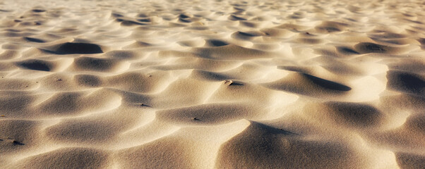 Sand, desert or texture for wallpaper with grain, nature or ripple from wind. Beach, background or banner on tropical island with ecosystem, environment or clean for pollution awareness in mockup