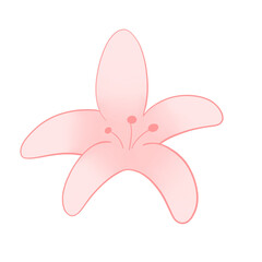 peach blossom pink flower on a transparent background