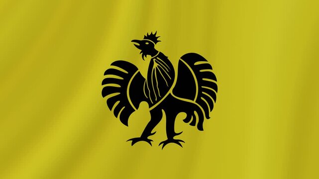 Sultanate of Gowa Waving Flag. Realistic Flag Animation. Seamless Loop Background.	