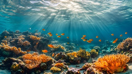 Vibrant coral reef, turquoise water, colorful tropical fish, underwater photography, crystal clear visibility, sunlight filtering through water, marine biodiversity, vivid colors.