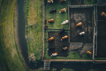 Aerial view of ranch in urban farmland.