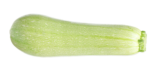 One fresh ripe zucchini isolated on white