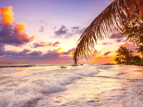 sunset on the Maxwell beach, Barbados.