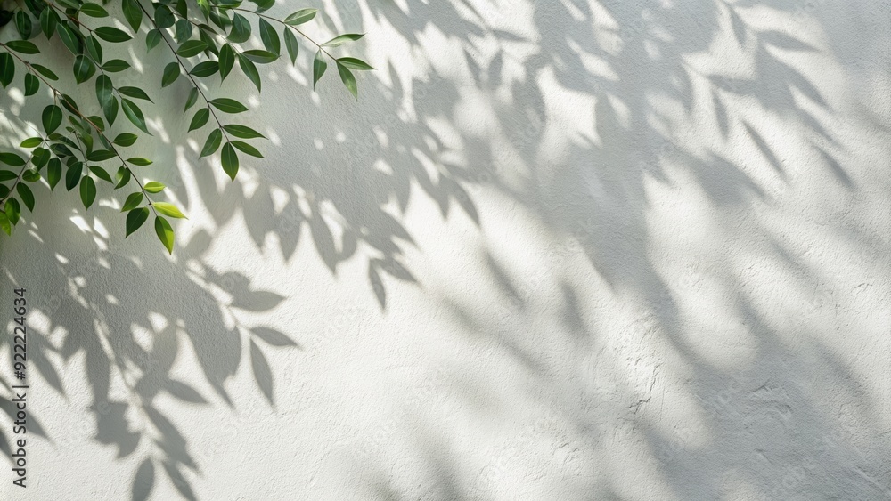 Wall mural Tree leaves shadow cast on a white wall creating a natural abstract background, nature, tree, leaves, shadow, wall