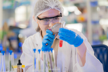 female scientist Experimenting through tubes of chemical liquids and plant samples. In a laboratory with test samples in the background in a modern laboratory By testing safely and cleanly.