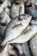 Seafood- Freshly caught sea fish, the common bream is a popular part of a Mediterranean diet and rich in nutrients.