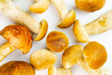 Fresh boletus mushroom. Harvest of hog mushrooms, white mushrooms on a white background. Natural fresh boletus mushrooms,harvest season,ingredient,top view.