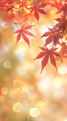 Fototapeta premium Branch of red maple leaves falling during autumn