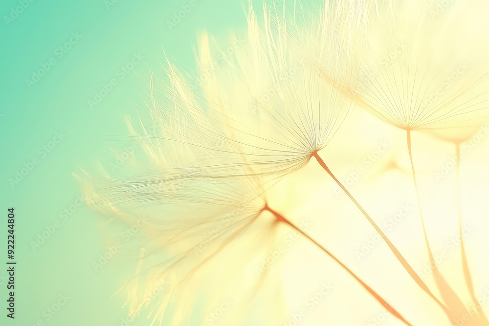 Poster tranquil dandelion seed floating in dreamy atmosphere with copy space