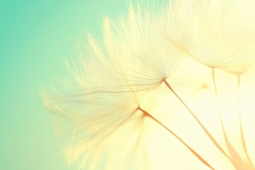 Tranquil Dandelion Seed Floating in Dreamy Atmosphere with Copy Space