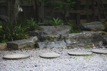 stone steps in the garden