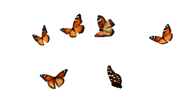 groupe de papillon en vol six