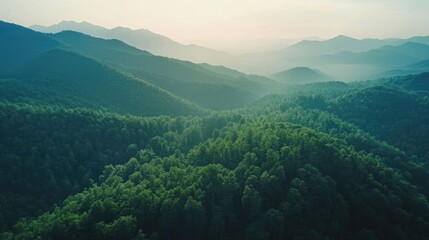 Fototapeta premium Aerial perspective of a mountain range with a dense forest, clear sky area for text