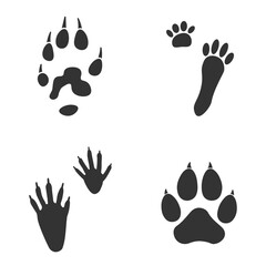 Footprints of  Animal, Traces of a rabbit, dog, ferret, raccoon on white background.  Silhouette animal tracks in gray. Paw Print for your  design. Vector illustration. EPS10.