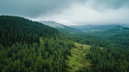 Fototapeta premium High-angle view of a forested mountain with a large sky area, ideal for adding a headline