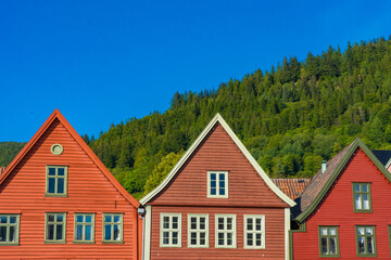 Bryggen - colorful wooden houses in Bergen against a green forest backdrop