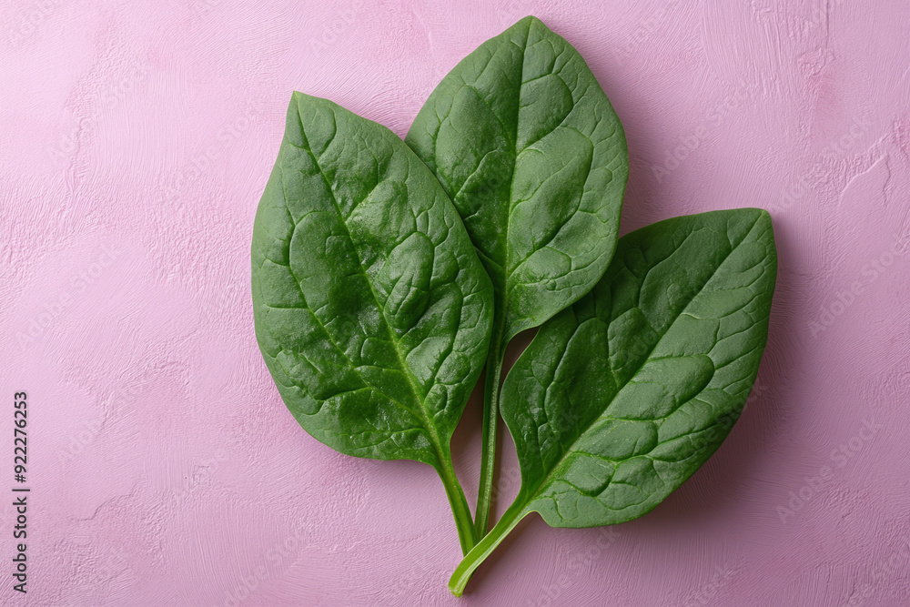 Wall mural a fresh spinach leaf, rich in brain-supporting nutrients, set against a pastel lavender background,