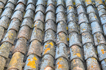 top view of old weathered lichen covered roof tiles