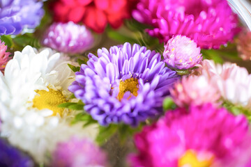 色とりどりの花を浮かべた花手水