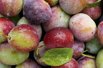 Many fresh plums and leaves with water drops as background, top view