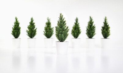 Miniature Christmas tree in front of defocused trees in a row. Artificial Christmas trees. Xmas holiday background or concept for choosing or shopping for the right Christmas tree. Selective focus.
