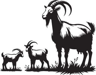 Obraz premium black goat on a white