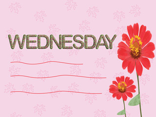 WEDNESDAY, card with flowers on pink background design,	