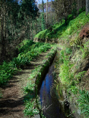 Levada hike on the Spanish isle Madeira