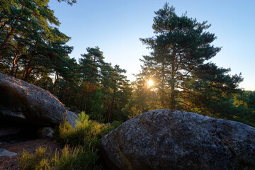 Hillside of the Sablons rocks in Fontainebleau forest