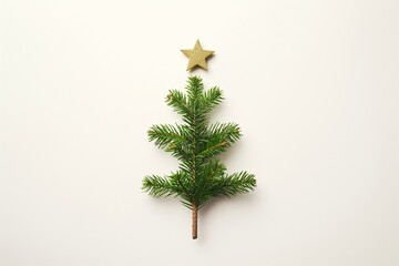 minimal christmas postcard theme with blank copy space isolated on background