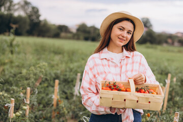 Young Woman In Straw Hat Holding Basket of Fresh Tomatoes on Farm