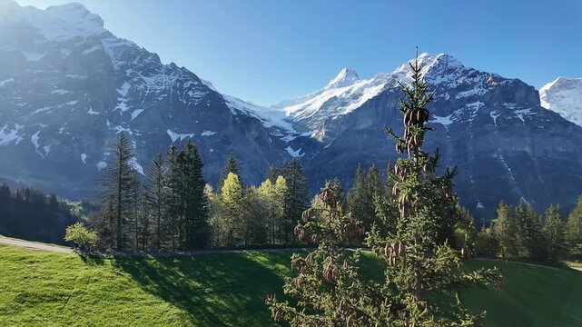 beautiful heaven like amazing landscape view from cable car go to Grindelwald first that can see eiger mountain ,river and forest in spring season switzerland