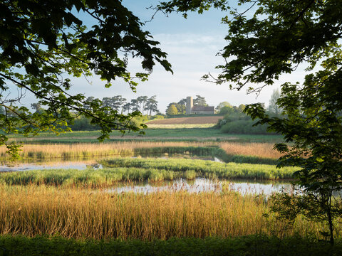 Ramsholt Church Through Trees