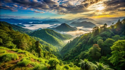 Majestic mountain trail scenic overlook reveals a breathtaking panorama of lush green valleys and dense forests stretching far into the distant misty horizon.