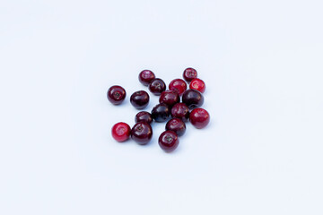 Bay fruit isolated on white, alternative ingredient for herbal medicine