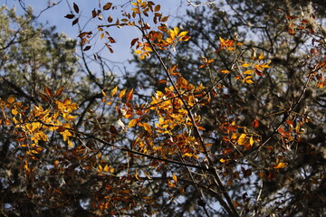 Naturaleza en su maximo explendor 3