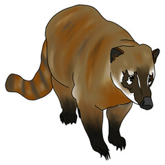 illustration of a skunk © Syihab