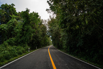 Obraz premium A rural road winds through a serene mountain vista, bordered by lush green forest under a blue sky at dawn in Doi Phuka National Park, Nan Province, Thailand