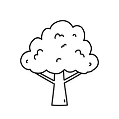 Tree isolated on a white background. Vector hand-drawn illustration in doodle style. Perfect for cards, decorations, logo, various designs.