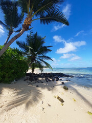 Palm trees on a sunny day on a white sand beach in Bel Ombre, Mauritius, Africa.