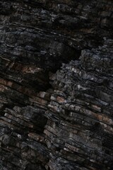 Fototapeta premium leaf stones in the rock by the sea, background