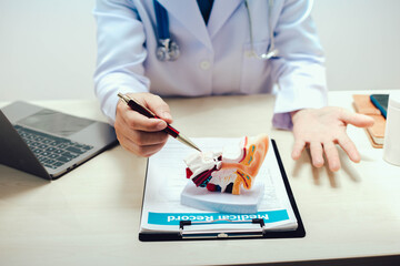 The ear is a sensory organ responsible for hearing and balance. It comprises three parts: the outer...