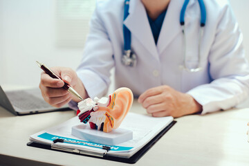 The ear is a sensory organ responsible for hearing and balance. It comprises three parts: the outer ear, middle ear, and inner ear, each playing a crucial role in sound perception.