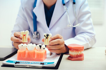 Gums and teeth are essential for oral health. Gums provide a protective covering for tooth roots,...