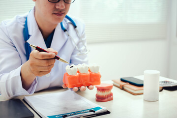 Gums and teeth are essential for oral health. Gums provide a protective covering for tooth roots, while teeth enable chewing and breaking down food for digestion, aiding in overall nutrition.