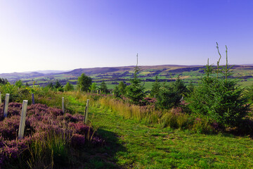 Fototapeta premium Footpath through Draughton Heights.