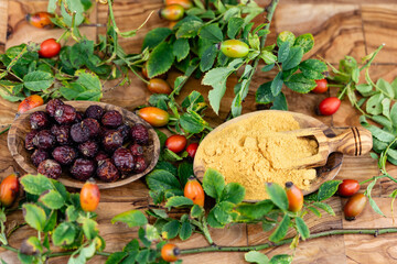 Hagebutten Rosa canina die Hunderose frisch oder getrocknet